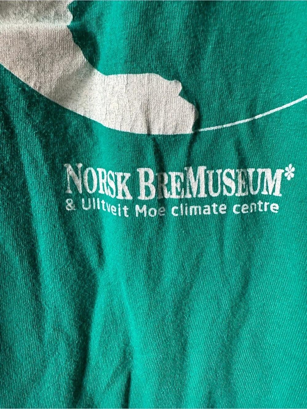 Vintage Climate Change Tee Earth Conservation Activism